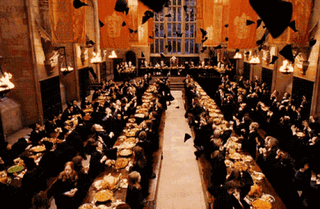 13. Harry Potter için